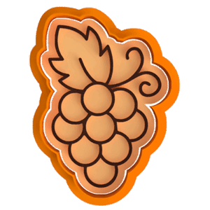 Szőlő