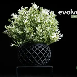 EVOLVE - kaspó
