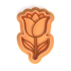 Nyíló tulipán