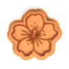 Trópusi hibiszkusz