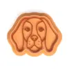 Kérlelő beagle