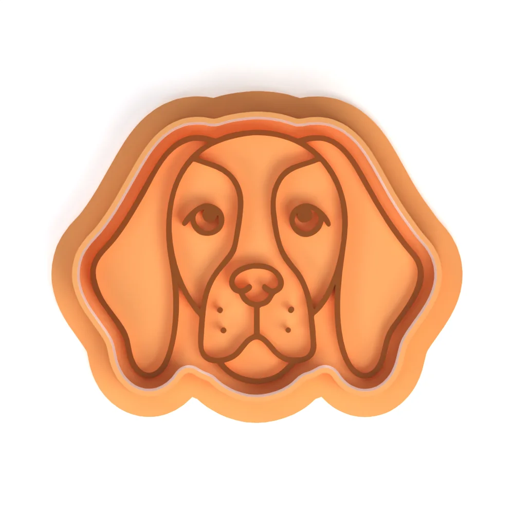 Kérlelő beagle