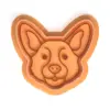 Kíváncsi corgi