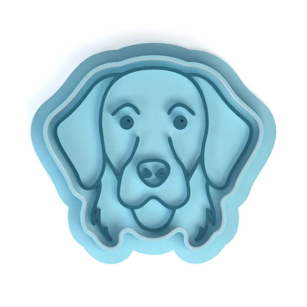 Szelíd golden retriever - Image 4