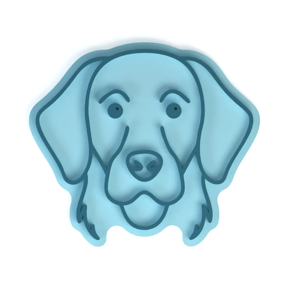 Szelíd golden retriever - Image 6
