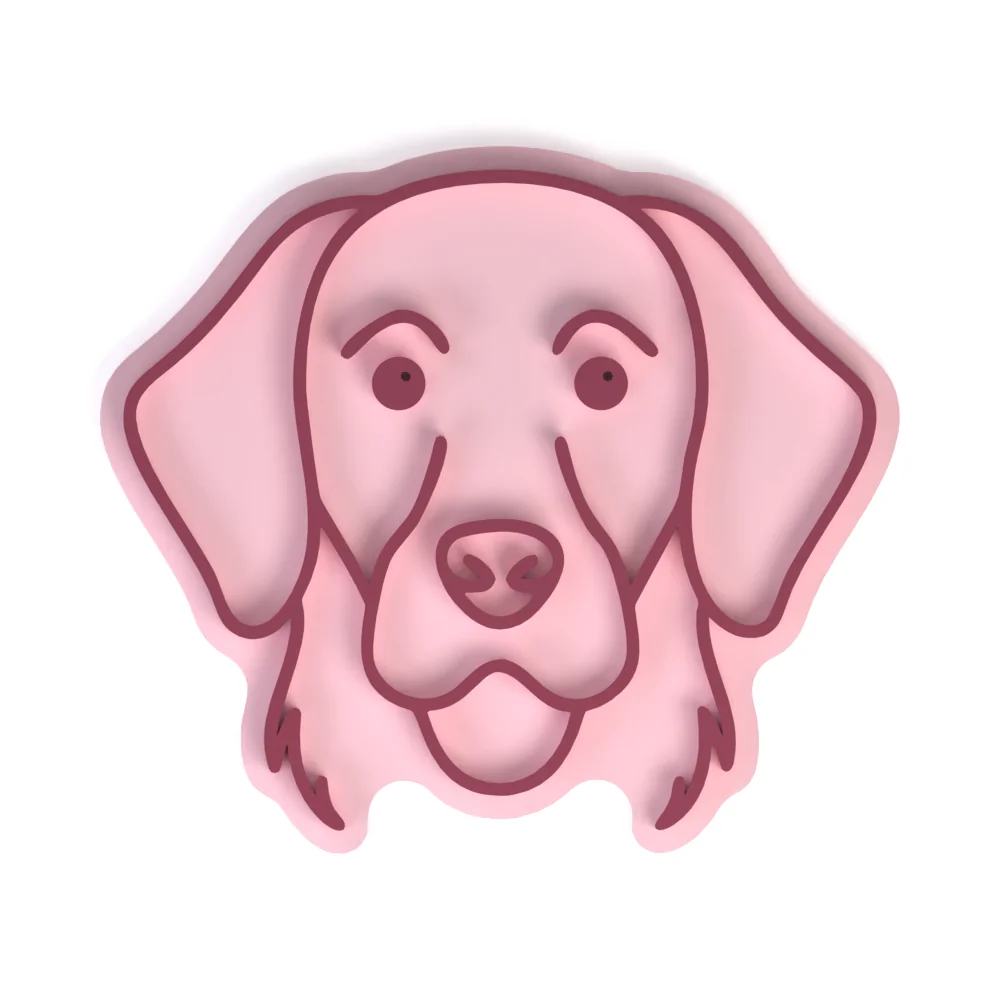 Szelíd golden retriever - Image 7