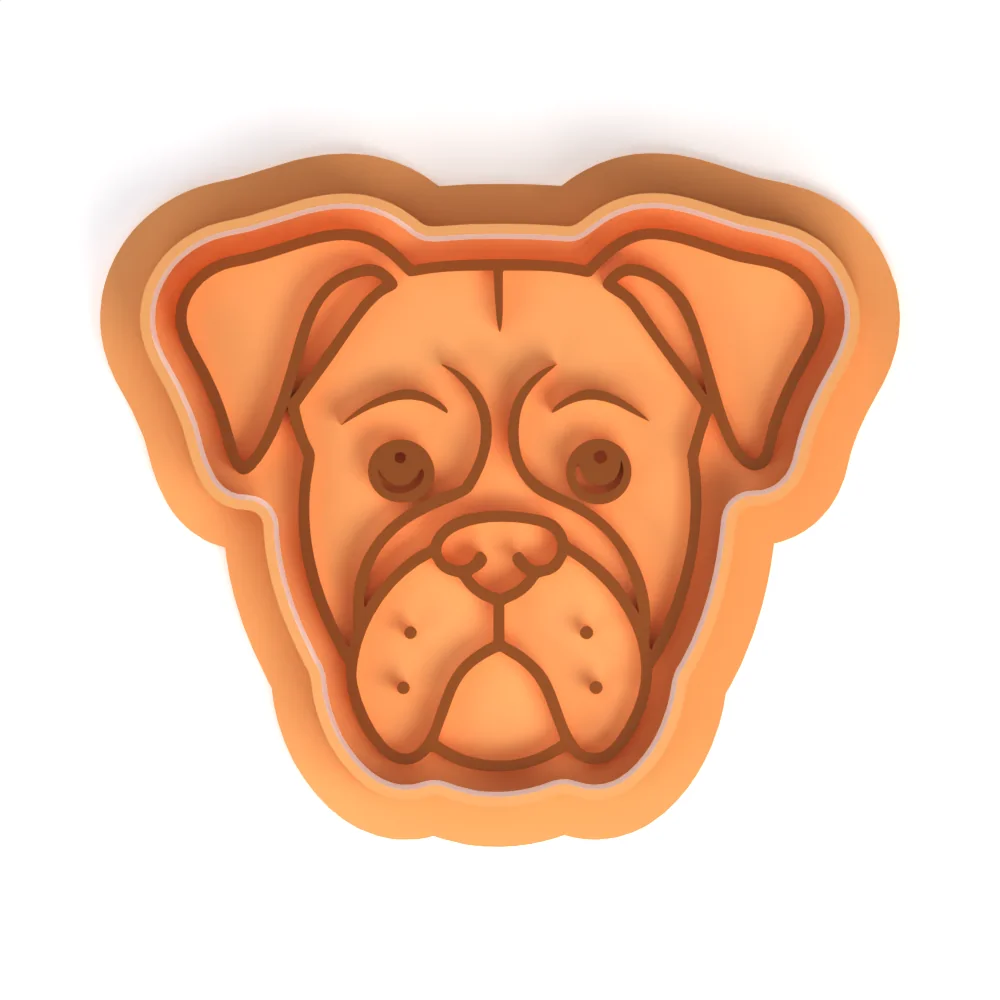 Töprengő boxer